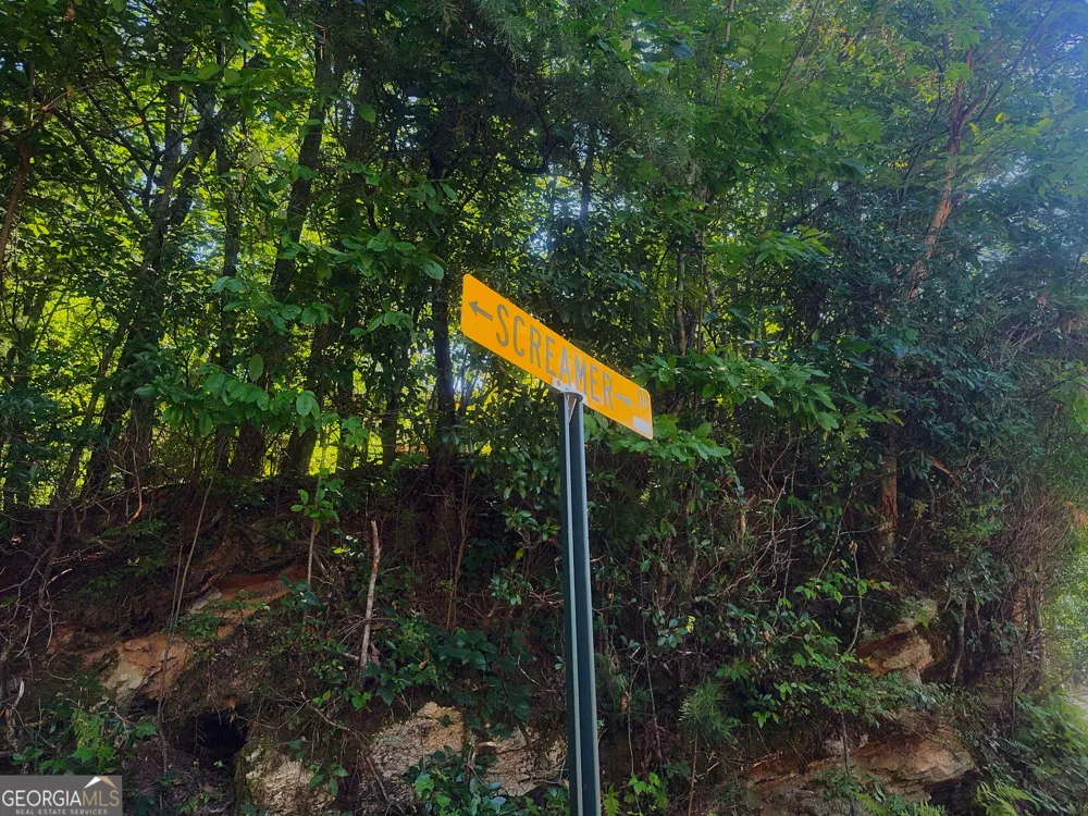 0 Screamer DR Clayton, GA 30525