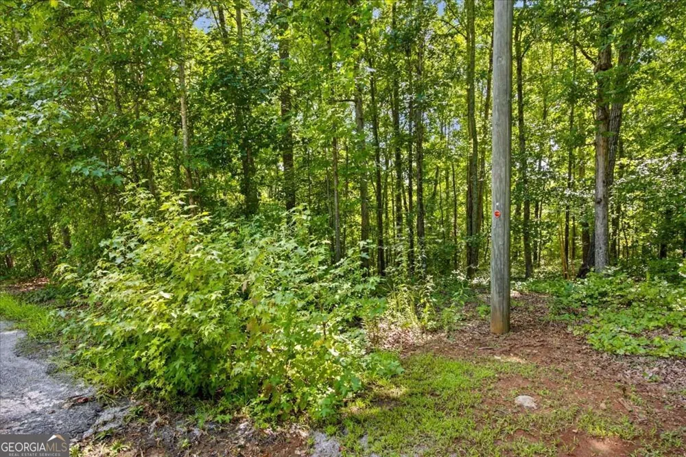 194 Gina DR Carrollton, GA 30116