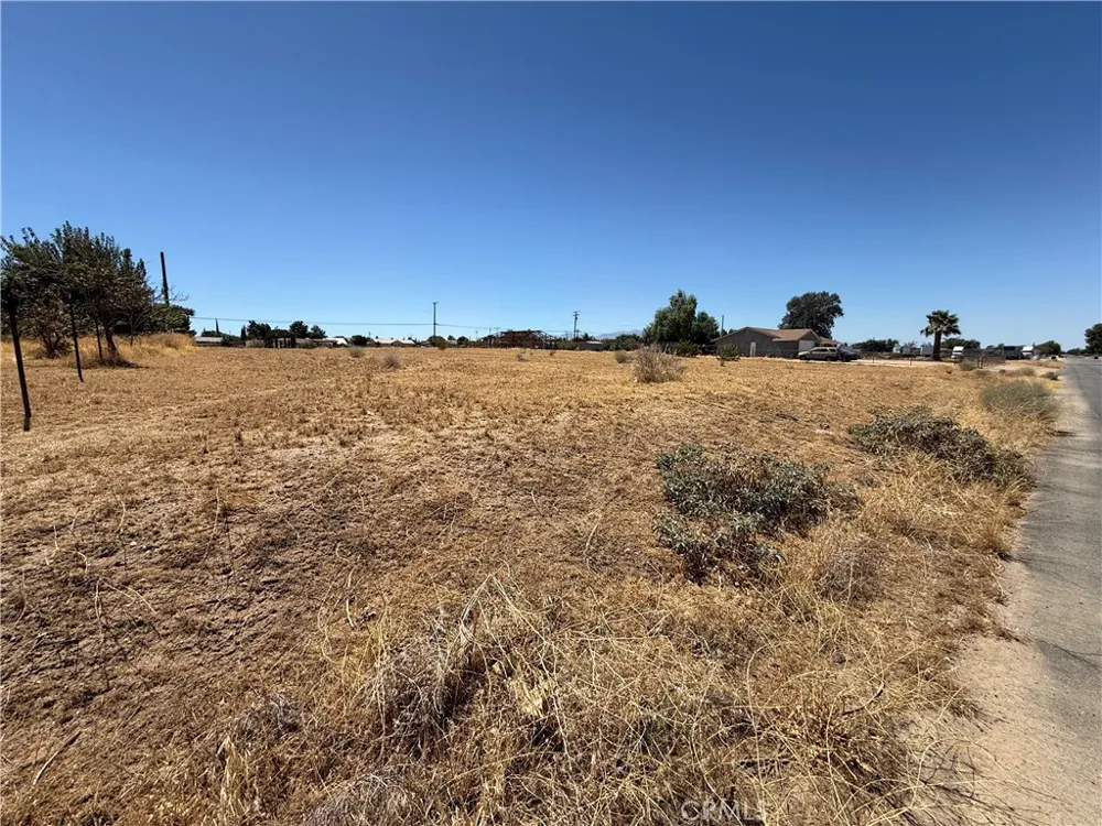Cholame Victorville, CA 92392