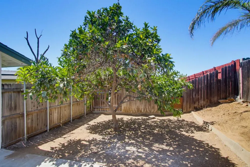 8924 Jana Court Spring Valley, CA 91977