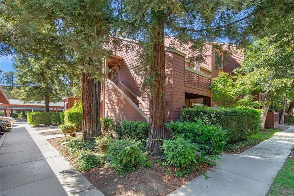 674 Teatree Court San Jose, CA 95128