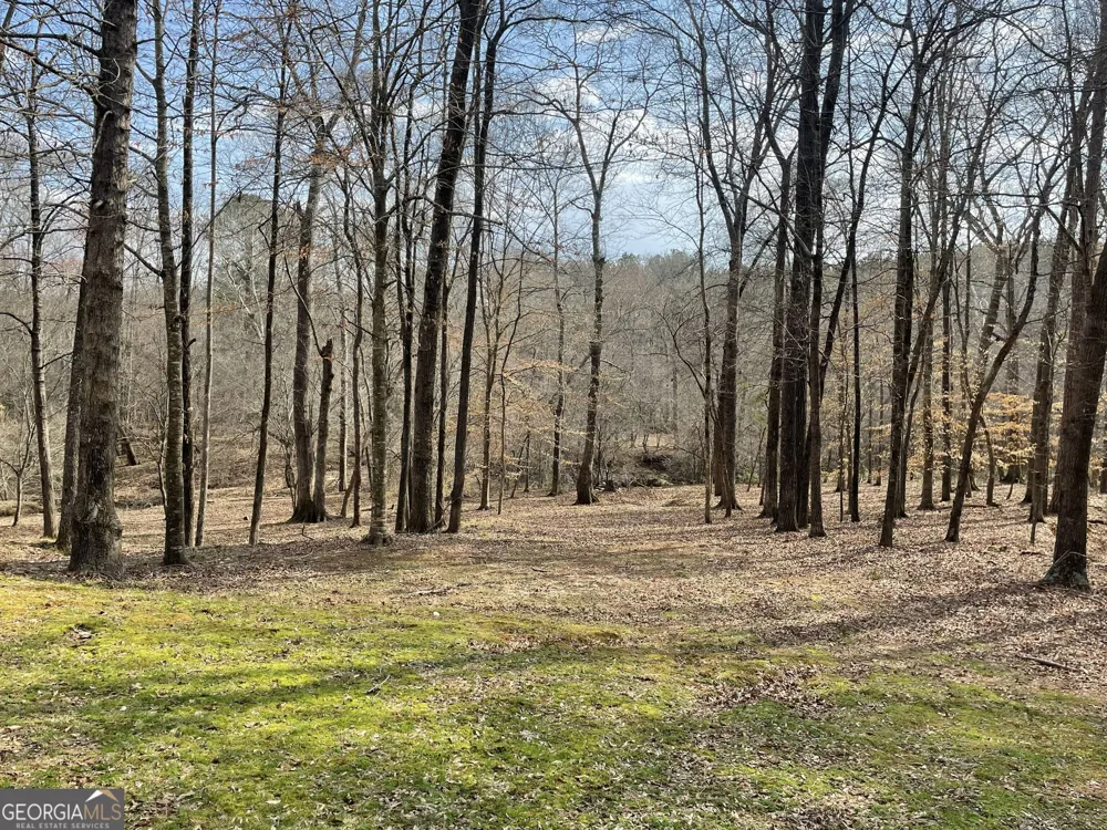 1171 River RUN Bishop, GA 30621