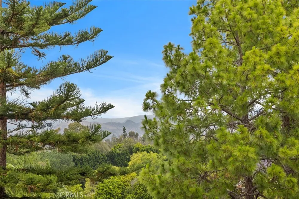 2269 Via Puerta Laguna Woods, CA 92637