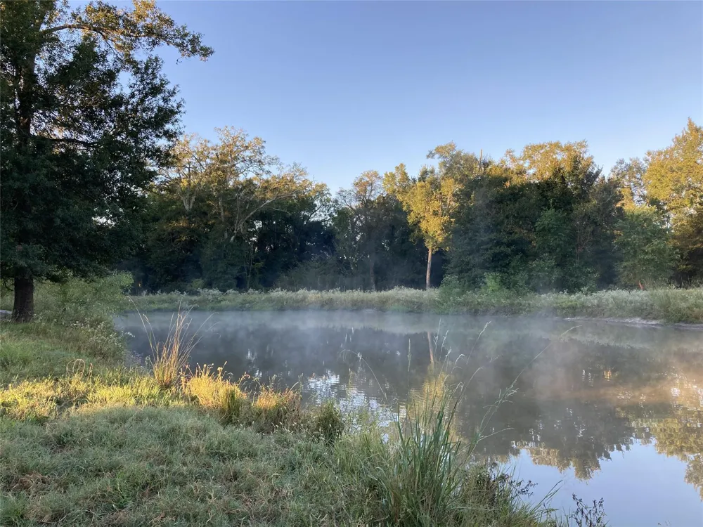 2790 Derby Lane Madisonville, TX 77864