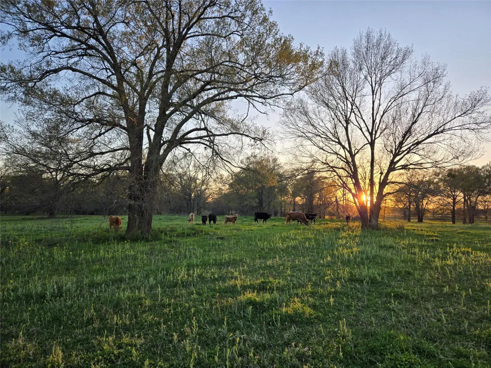 2790 Derby Lane Madisonville, TX 77864