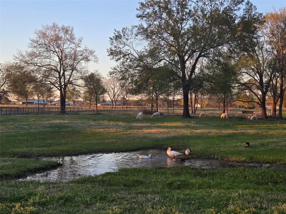 2790 Derby Lane Madisonville, TX 77864