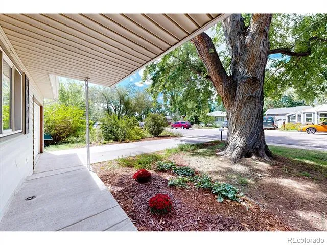 624 Irish Drive Fort Collins, CO 80521
