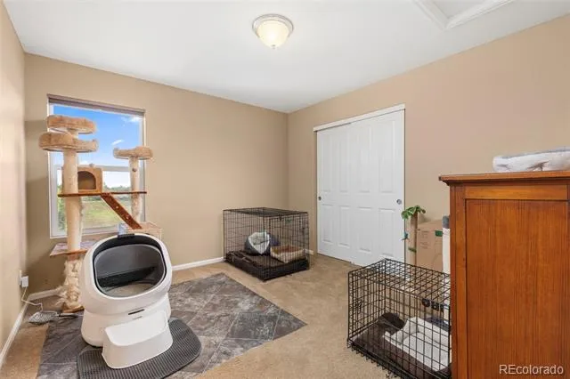 6246 Walnut Grove Street Erie, CO 80516