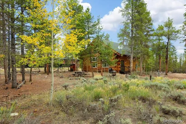 682 Spruce Drive Leadville, CO 80461