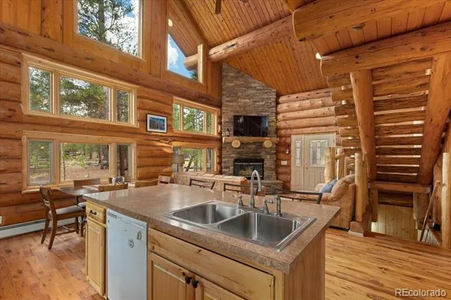 682 Spruce Drive Leadville, CO 80461