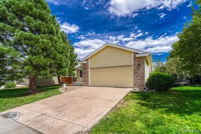 832 Pitkin Way Castle Rock, CO 80104