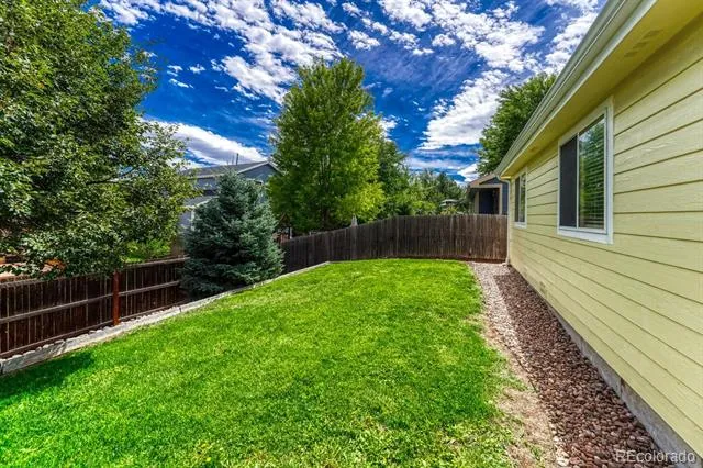 832 Pitkin Way Castle Rock, CO 80104