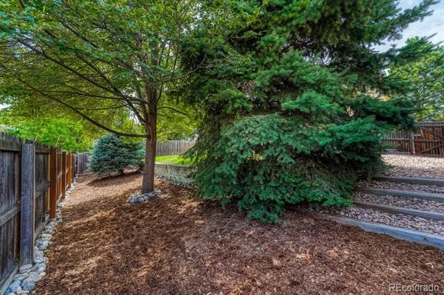 832 Pitkin Way Castle Rock, CO 80104