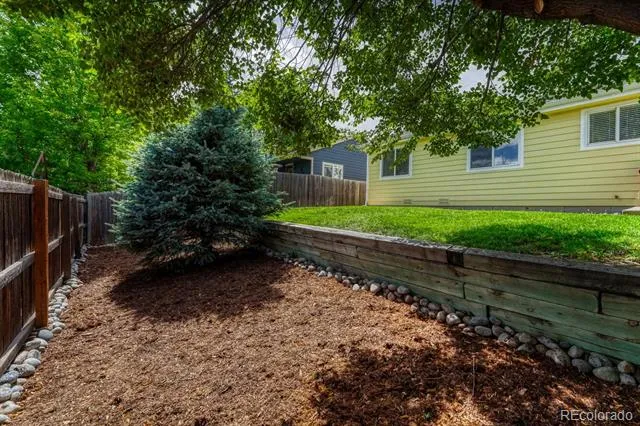 832 Pitkin Way Castle Rock, CO 80104