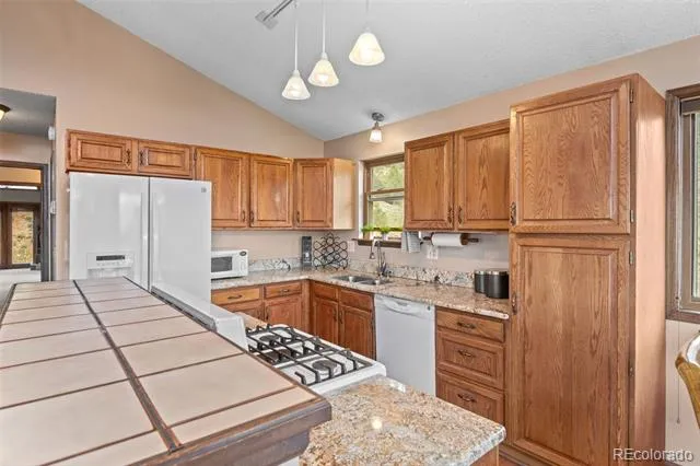 13976 Wamblee Trail Conifer, CO 80433