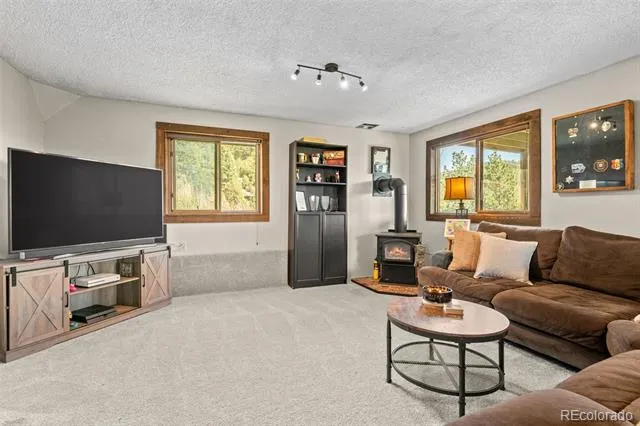 13976 Wamblee Trail Conifer, CO 80433