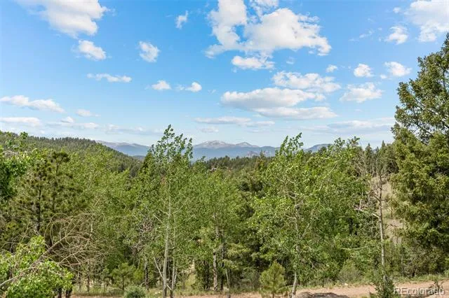 13976 Wamblee Trail Conifer, CO 80433