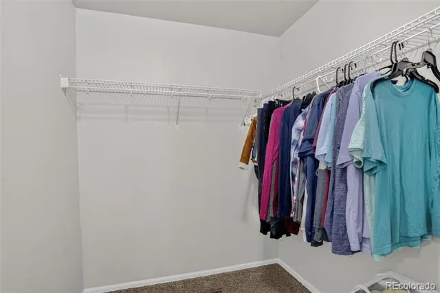 3715 Chia Drive Colorado Springs, CO 80925