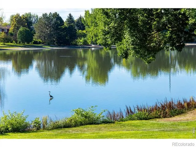 1115 Parkwood Drive Fort Collins, CO 80525