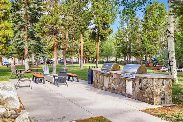 160 E La Bonte #303 Dillon, CO 80435