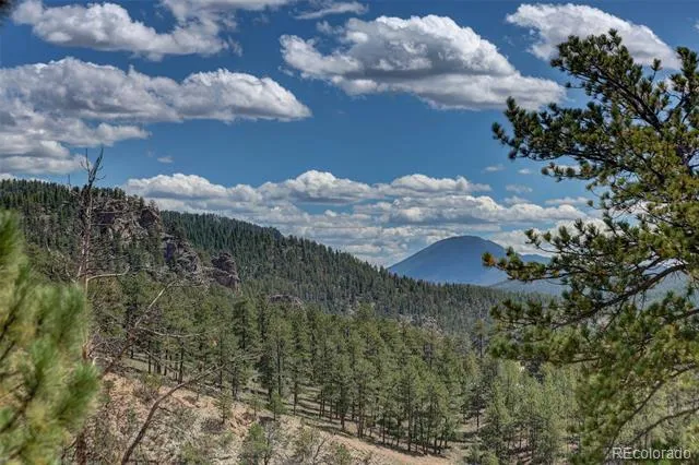 304 Virginia Road Bailey, CO 80421