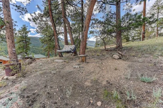 304 Virginia Road Bailey, CO 80421