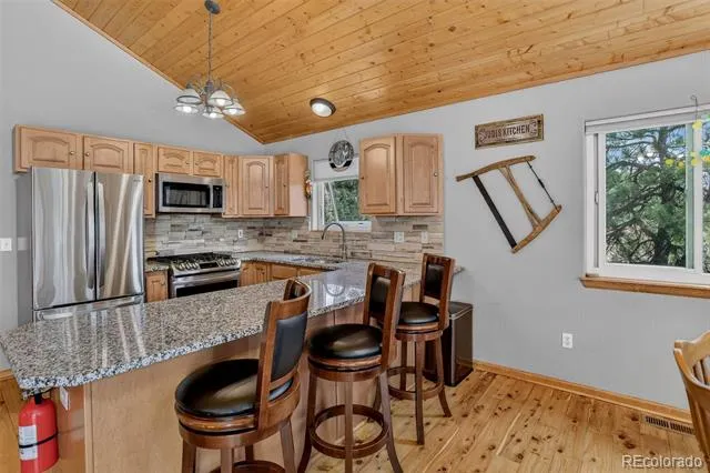 304 Virginia Road Bailey, CO 80421