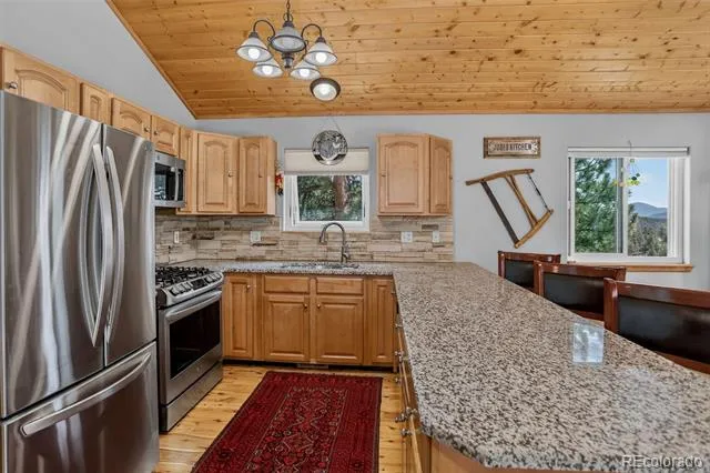 304 Virginia Road Bailey, CO 80421