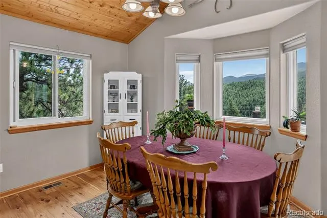 304 Virginia Road Bailey, CO 80421