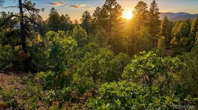 87 Crooked Road Pagosa Springs, CO 81147