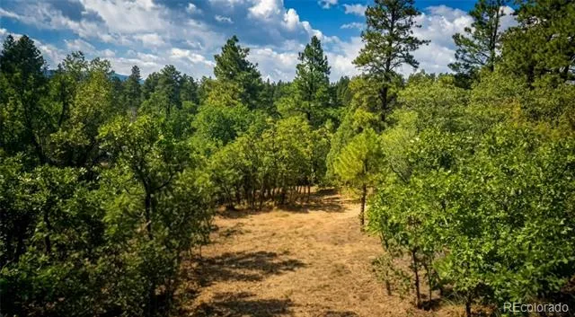 87 Crooked Road Pagosa Springs, CO 81147