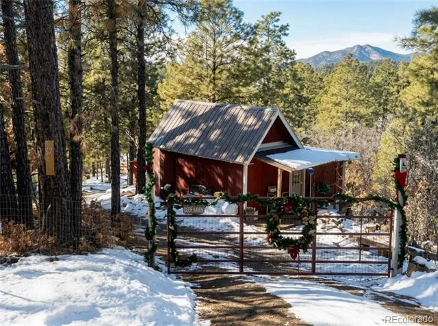 87 Crooked Road Pagosa Springs, CO 81147