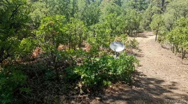 87 Crooked Road Pagosa Springs, CO 81147