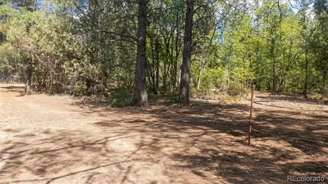 87 Crooked Road Pagosa Springs, CO 81147