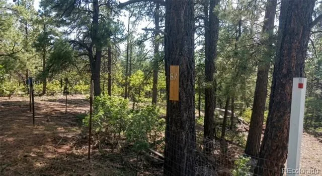 87 Crooked Road Pagosa Springs, CO 81147