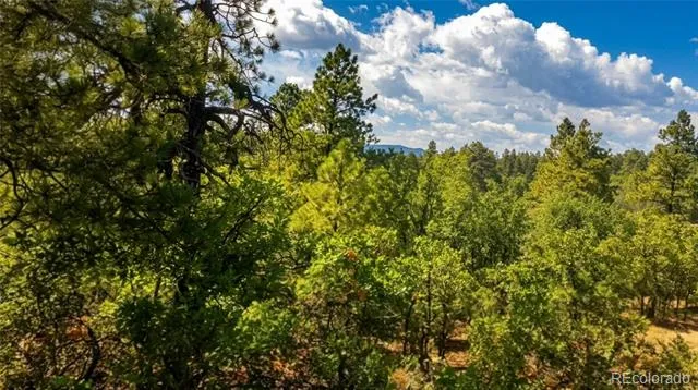 87 Crooked Road Pagosa Springs, CO 81147