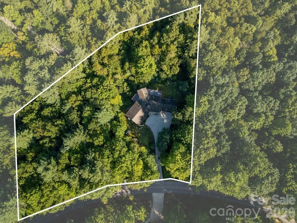 1228 Ugugu Drive Brevard, NC 28712