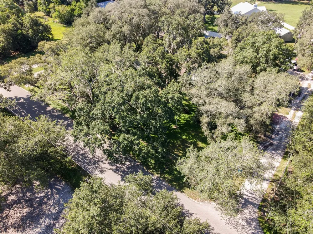 10700 TAMI TRAIL Hudson, FL 34669