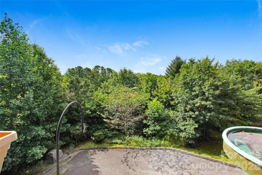 97 Toxaway Views Drive #704 Lake Toxaway, NC 28747