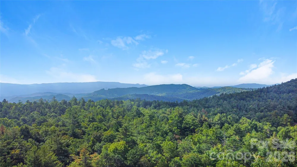 97 Toxaway Views Drive #704 Lake Toxaway, NC 28747