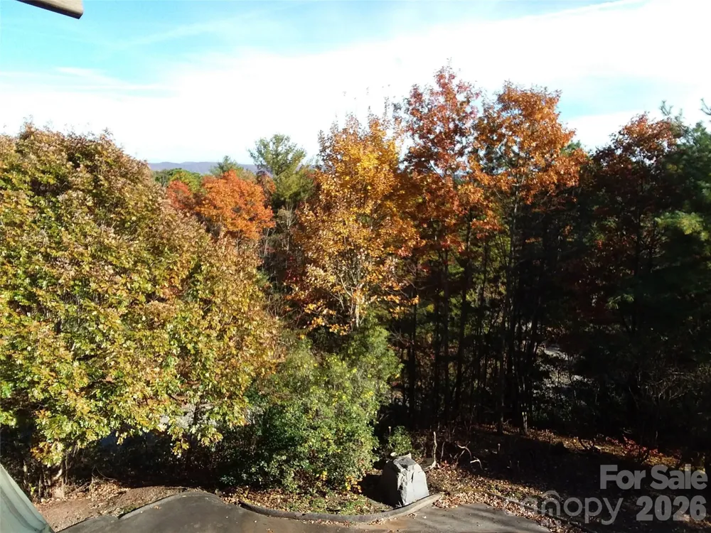 97 Toxaway Views Drive #704 Lake Toxaway, NC 28747