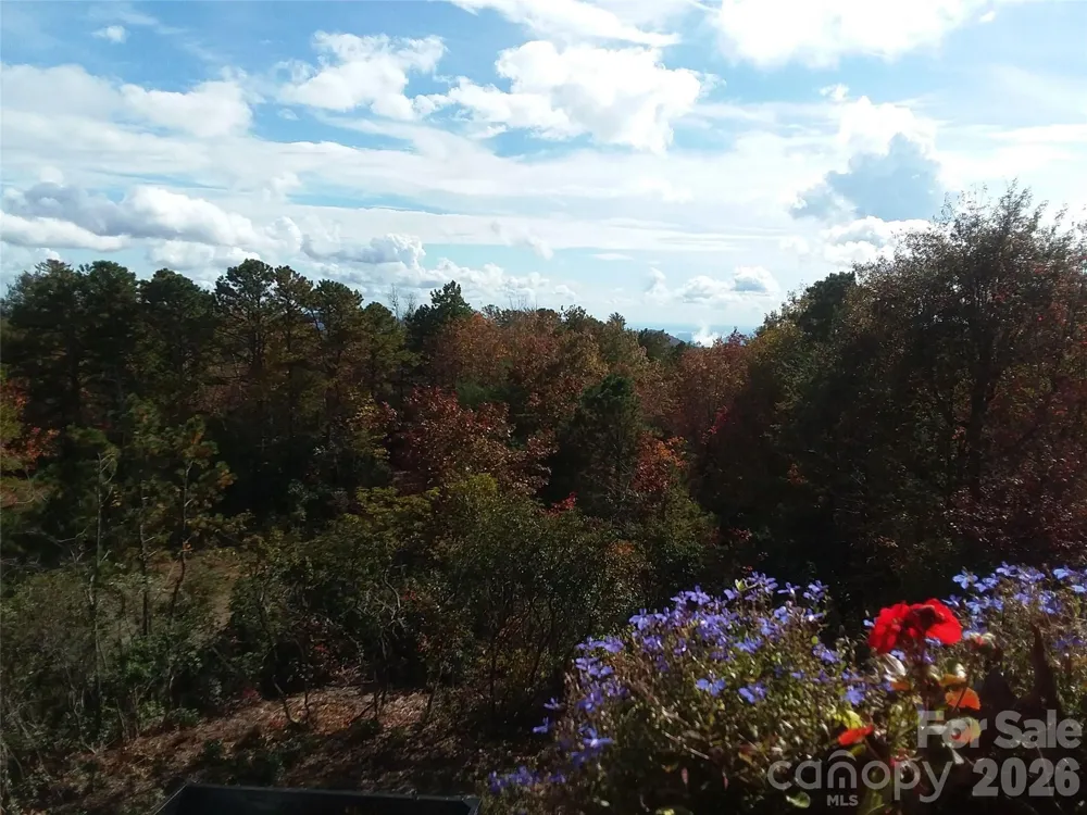97 Toxaway Views Drive #704 Lake Toxaway, NC 28747