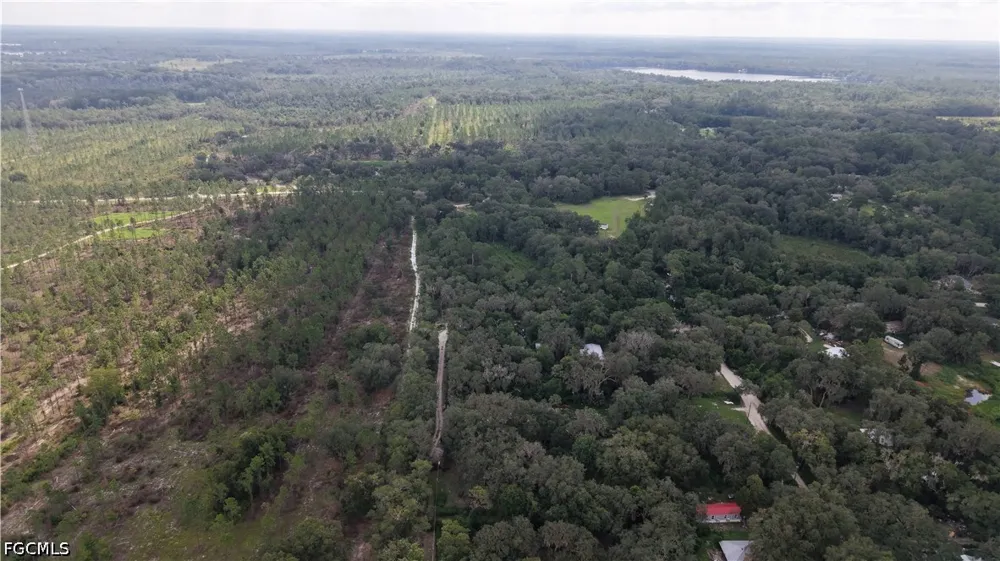  Hawthorne, FL 32640