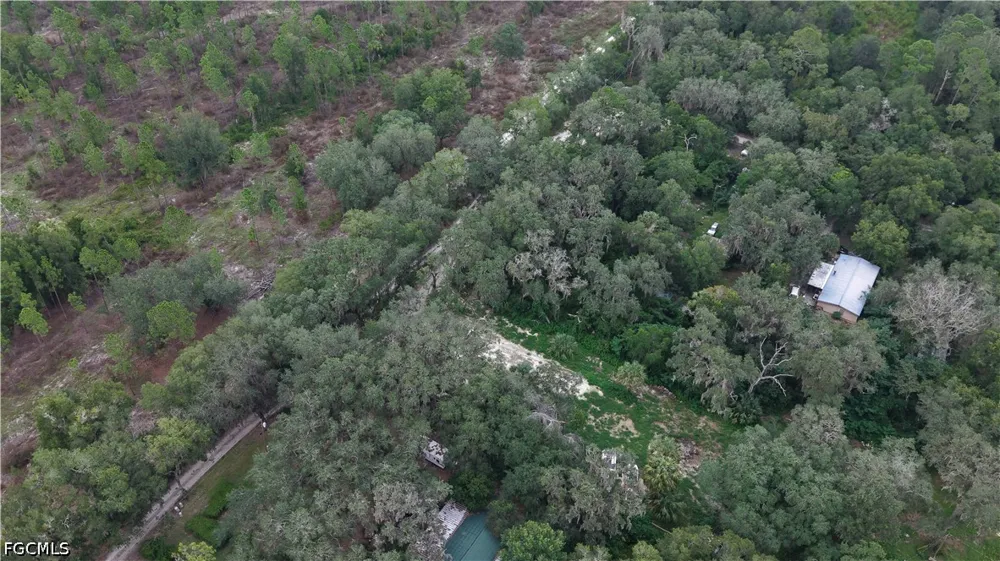  Hawthorne, FL 32640