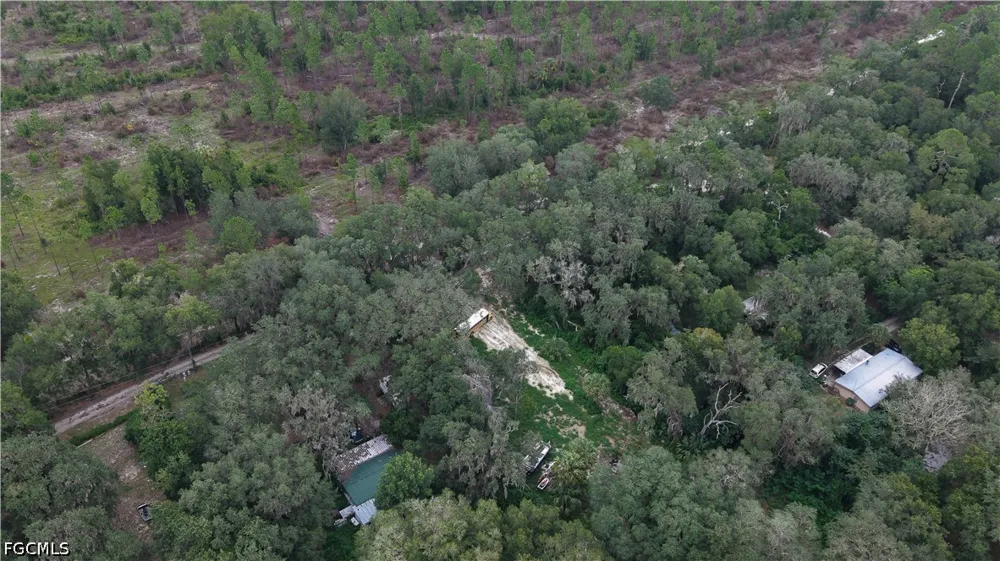  Hawthorne, FL 32640