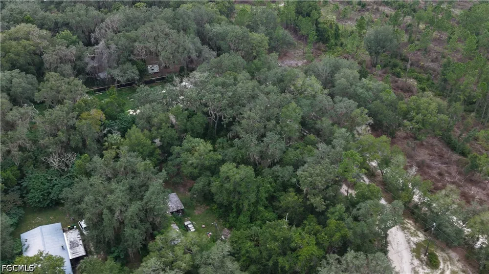 Hawthorne, FL 32640