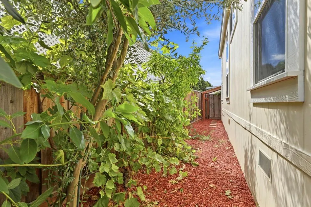 391 Calle Conchita #391 Sunnyvale, CA 94089