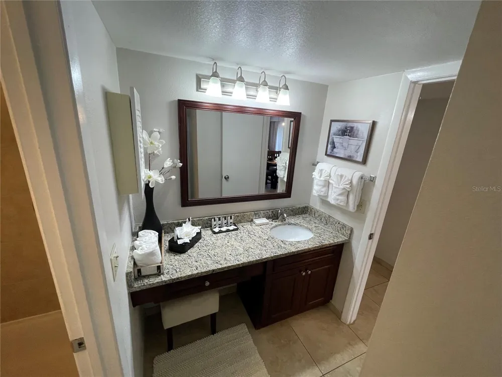 6336 PARC CORNICHE DRIVE #3313 Orlando, FL 32821