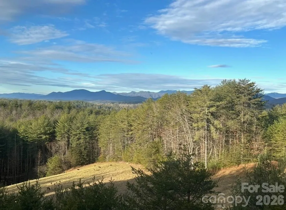 2775 Campbells Trace Nebo, NC 28761