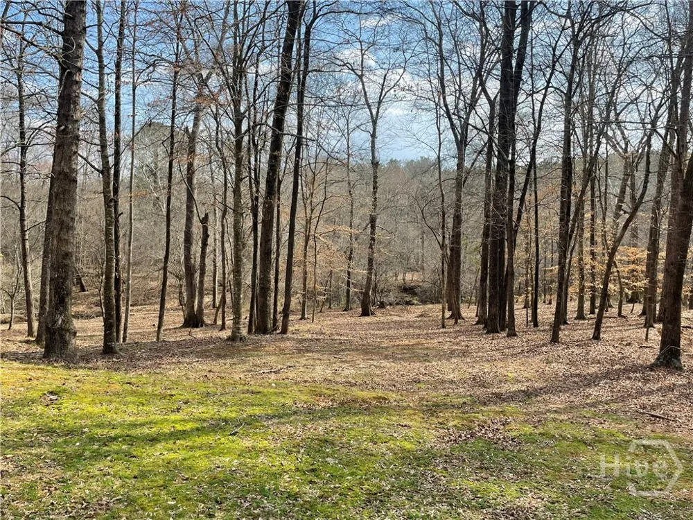 1171 River Run Bishop, GA 30621